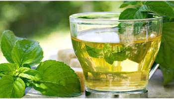 Mint Tea benefits: പുതിന ചായ കുടിയ്ക്കാം, ശരീരഭാരം കുറയും ഗുണങ്ങളും ഏറെ 