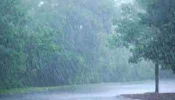 Kerala weather today: സംസ്ഥാനത്ത് രണ്ട് ജില്ലകളിലൊഴികെ ഞായറാഴ്ച വരെ പരക്കെ വേനൽ മഴയ്ക്ക് സാധ്യത