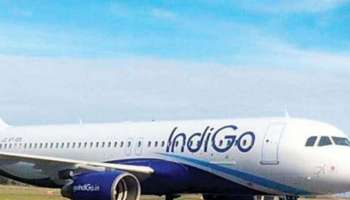 Delhi-Bengaluru IndiGo Flight: ഇൻഡി​ഗോ വിമാനത്തിൽ മദ്യലഹരിയിൽ എമർജൻസി വിൻഡോ തുറക്കാൻ ശ്രമിച്ച് യാത്രക്കാരൻ