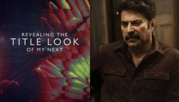 Mammootty New Movie : മമ്മൂട്ടിയുടെ അടുത്ത ചിത്രമെത്തുന്നു; പേരും സംവിധായകനെയും തിരഞ്ഞ് സോഷ്യൽ മീഡിയ