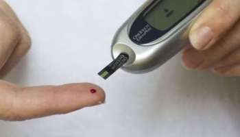 Diabetes Control Tips: വെറും വയറ്റിൽ ഈ ഭക്ഷണങ്ങൾ കഴിക്കൂ... രക്തത്തിലെ പ‍ഞ്ചസാരയുടെ അളവിനെ നിയന്ത്രിച്ച് നിർത്താം