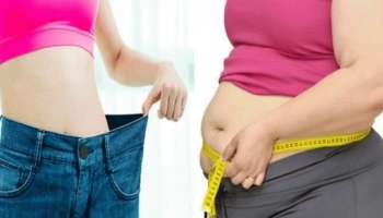 Weight Loss Diet: തടി കൂടുന്നത് തടയാൻ ഈ സ്‌നാക്സ് പരീക്ഷിക്കൂ, തയ്യാറാക്കാനും എളുപ്പം!