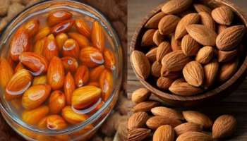 Raw Almond or Soaked Almond? വേനൽക്കാലത്ത് എങ്ങനെ ബദാം കഴിക്കുന്നതാണ് ആരോഗ്യത്തിന് നല്ലത്, അറിയാം  5 ഗുണങ്ങളും!