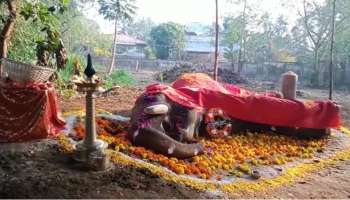 പൂരത്തിന് ദിവസങ്ങൾ മാത്രം; പാറമേക്കാവ് ദേവീദാസൻ ചരിഞ്ഞു