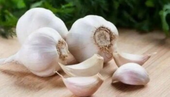 Garlic Health Benefits: അമിതവണ്ണം മുതൽ ഉയർന്ന രക്തസമ്മർദ്ദം വരെ; വെളുത്തുള്ളി കഴിച്ചാലുള്ള ആരോ​ഗ്യ​ഗുണങ്ങൾ അറിയാം