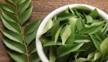 Curry Leaves Benefits: കറിവേപ്പിലയെ കുറച്ചു കാണല്ലേ...!! 