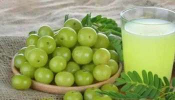 Amla Health Benefits: നെല്ലിക്ക കഴിയ്ക്കാം, ശരീരഭാരം കുറയ്ക്കാം, യൗവനം നിലനിര്‍ത്താം  