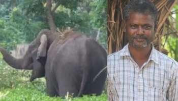 Attapadi Elephant Attack: അട്ടപ്പാടിയിൽ കാട്ടാന ആക്രമണത്തിൽ ആദിവാസി യുവാവ് മരിച്ചു