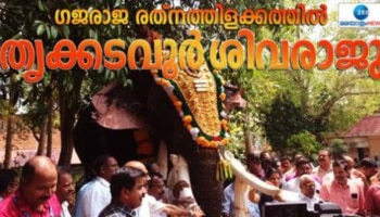 Thrikkadavur Sivaraju: തലയെടുപ്പുള്ള ആനച്ചന്തം; ഗജരാജ രത്നത്തിളക്കത്തിൽ തൃക്കടവൂർ ശിവരാജു, ആദരിച്ച് തിരുവിതാംകൂർ ദേവസ്വം ബോർഡ്