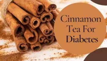 Cinnamon Tea For Diabetes: പ്രമേഹത്തിനൊരു പ്രതിവിധി; കറുവപ്പട്ട ചായ കുടിക്കാം