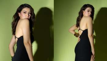 Hansika Motwani: ഹോട്ടായി ഹൻസിക, ചിത്രങ്ങൾ വൈറൽ