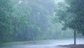 Kerala weather update: സംസ്ഥാനത്ത് ഒറ്റപ്പെട്ടയിടങ്ങളിൽ ശക്തമായ വേനൽമഴയ്ക്ക് സാധ്യത; രണ്ട് ജില്ലകളിൽ യെല്ലോ അലർട്ട് പുറപ്പെടുവിച്ചു