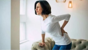 Back Pain Reasons: നടുവേദന മാറുന്നില്ലേ ? ഇതാകാം കാരണങ്ങൾ