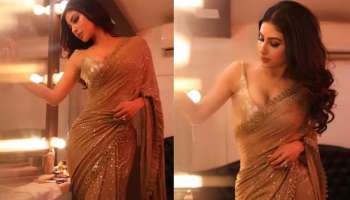 Mouni Roy Latest Pics: തിളങ്ങുന്ന ഗോൾഡൻ സാരിയിൽ മൗനി റോയ്, എത്നിക് ലുക്ക് വൈറല്‍