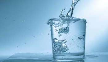 Water consumption in Summer: വേനല്‍ക്കാലവും വെള്ളവും, നിങ്ങളുടെ ശരീരത്തിന് എത്രമാത്രം ജലം ആവശ്യമാണ്? 