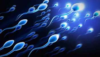 Sperm Donation : ബീജദാനത്തിലൂടെ 550 കുട്ടികളുടെ പിതാവായി 41കാരൻ; അവസാനം കോടതിയും പറഞ്ഞു മതിയെന്ന്