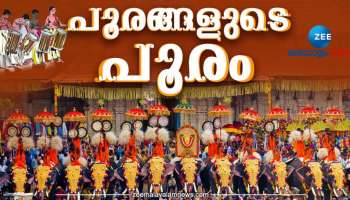 Thrissur Pooram 2023: പൂരലഹരിയിൽ നാടും ന​ഗരവും; വടക്കുംനാഥന്റെ മണ്ണിൽ ഇന്ന് തൃശൂർ പൂരം