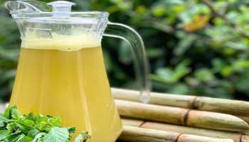 Sugarcane for Diabetes: കരിമ്പ് ജ്യൂസ് പ്രമേഹത്തിന് നല്ലതാണോ? അറിയാം ഇക്കാര്യങ്ങൾ