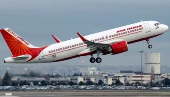 AIR India: എയർ ഇന്ത്യ വിമാനത്തിൽ യാത്രക്കാരിയെ തേൾ കുത്തി