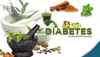 Diabetes Ayurvedic Treatment: പ്രമേഹം കുറയ്ക്കാന്‍ ഇനി മരുന്ന് വേണ്ട, അത്ഭുതം കാട്ടും ഈ ആയുർവേദ ഔഷധങ്ങൾ!! 