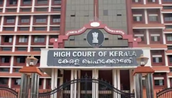 Kerala High Court: കേരളത്തിൽ ഇതാദ്യമല്ല, അപകടത്തിന് നേരെ കണ്ണടച്ചിരിക്കാനാകില്ല; താനൂർ അപകടത്തിൽ ഹൈക്കോടതി