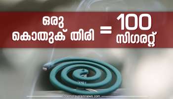 Mosquito repellent: ഒരു കൊതുക് തിരിയുടെ പുക ശ്വസിച്ചാൽ 100 സിഗരറ്റ് വലിച്ച മാതിരി; ഇക്കാര്യങ്ങള്‍ അറിഞ്ഞിരിക്കണം