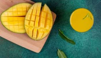 Mango For Weight Loss: പഴങ്ങളുടെ രാജാവ്... ​ഗുണങ്ങളാൽ സമ്പന്നം; മാമ്പഴം കഴിച്ചാൽ ശരീരഭാരം കുറയുമോ?