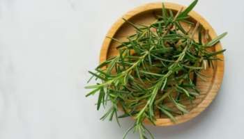 Rosemary Benefits: മുടിയുടെ ആരോ​ഗ്യത്തിന് മികച്ചത്; അറിയാം റോസ്മേരിയുടെ ആരോ​ഗ്യ ​ഗുണങ്ങൾ