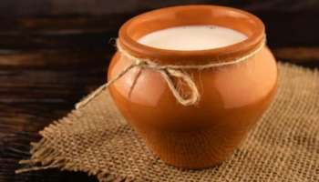 Curd Benefits: തൈര് മൺപാത്രത്തിൽ സൂക്ഷിക്കേണ്ടത് എന്തുകൊണ്ടെന്ന് അറിയാം