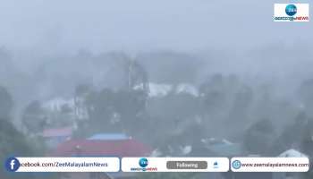 Cyclone Mocha Updates