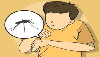 Dengue Fever In Kids: കുട്ടികളിലെ ഡെങ്കിപ്പനി; ശ്രദ്ധിക്കേണ്ട അഞ്ച് പ്രധാന ലക്ഷണങ്ങൾ ഇവയാണ്