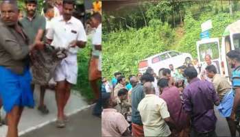 Bison Attack: കോട്ടയം എരുമേലിയിൽ കാട്ടുപോത്തിന്റെ ആക്രമണത്തിൽ രണ്ടുപേർക്ക് ദാരുണാന്ത്യം 