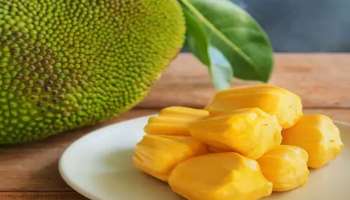 Jackfruit Benefits: ചക്കക്കുരുവിലുണ്ട് ബദാമിന്‍റെ അത്രതന്നെ പോഷണം!! ഗുണങ്ങള്‍ അറിയാം 