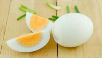 Eggs: വേനല്‍ക്കാലത്ത് മുട്ട കഴിക്കുന്നത് നല്ലതാണോ? ആരോഗ്യ വിദഗ്ധര്‍ പറയുന്നത് ഇങ്ങനെ