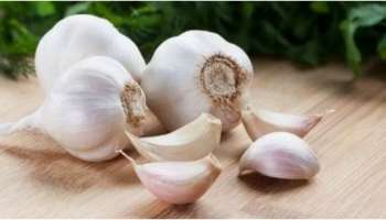 Garlic: ക്യാന്‍സറിനെ പോലും പ്രതിരോധിക്കും; വെളുത്തുള്ളി ചില്ലറക്കാരനല്ല!