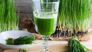 Wheat Grass Benefits: ഹരിതകത്തിന്‍റെ ഏറ്റവും മികച്ച ഉറവിടം, വീറ്റ് ഗ്രാസിനുണ്ട് അതിശയകരമായ ഗുണങ്ങള്‍  