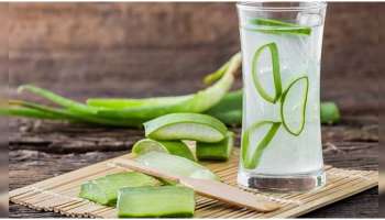 Aloe Vera: അടി തൊട്ട് മുടി വരെയുള്ള പ്രശ്നങ്ങൾക്ക് പരിഹാരം; കറ്റാർ വാഴയുടെ ഗുണങ്ങൾ