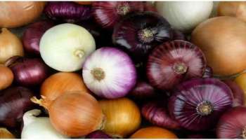 Onion: ദിവസവും ഒരു ഉള്ളി കഴിക്കുന്നത് ശീലമാക്കാം; ആരോഗ്യ ഗുണങ്ങളേറെ