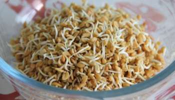 Sprouts: ശരീരഭാരം കുറയ്ക്കാൻ മാത്രമല്ല, മുളപ്പിച്ച ഭക്ഷണങ്ങൾക്ക് ഇനിയുമുണ്ട് ​ഗുണങ്ങൾ