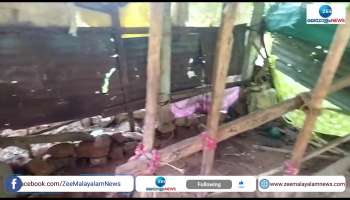 Leopard Attacks And Killed A Cow In Palappilly Thrissur