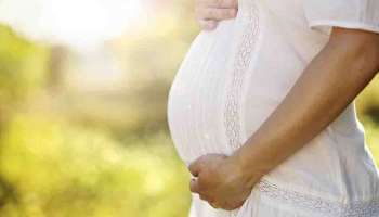 Pregnancy Diet : പപ്പായ മുതൽ ഇറച്ചി വരെ; ഗർഭക്കാലത്ത് ഒഴിവാക്കേണ്ട ചില ഭക്ഷണങ്ങൾ