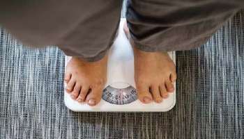 Healthy Weight Gain: ആരോഗ്യകരമായ രീതിയില്‍ ശരീരഭാരം കൂട്ടണോ? ജങ്ക്ഫുഡിന് പകരം ഇവ കഴിച്ചോളൂ