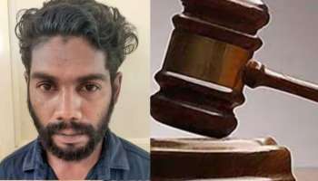 Crime News: പ്രായപൂർത്തിയാകാത്ത പെൺകുട്ടിയെ വിവാഹവാഗ്ദാനം നല്‍കി പീഡിപ്പിച്ചു; പ്രതിക്ക് കഠിനതടവും പിഴയും