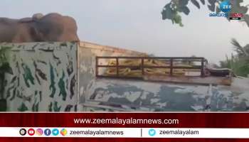 Wild Elephant Padayappa Attack in Munnar