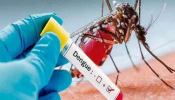Dengue Fever: സംസ്ഥാനത്ത് ഡെങ്കിപ്പനി പടരുന്നു; എറണാകുളം ജില്ലയില്‍ 11 ദിവസത്തിനിടെ റിപ്പോർട്ട് ചെയ്തത് ആറ് മരണം
