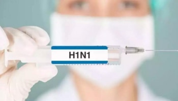 H1N1 Death: സംസ്ഥാനത്ത് എച്ച് 1 എൻ 1 ബാധിച്ച് മരണം; 12 പേർക്ക് രോ​ഗബാധ