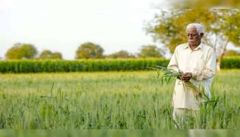 Farmer Scheme Big Update: പിഎം കിസാന്‍ സംബന്ധിച്ച വലിയ അപ്‌ഡേറ്റ്!! അടുത്ത ഗഡു എപ്പോൾ ലഭിക്കും? 