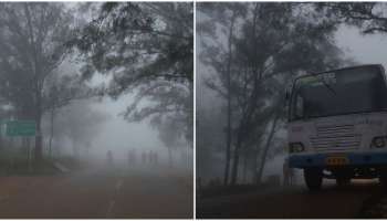 Ponmudi: പ്രകൃതി ഒരുക്കുന്ന വിസ്മയക്കാഴ്ച; കോടമഞ്ഞിൽ കുളിരണിഞ്ഞ് പൊന്മുടി