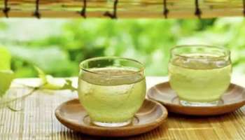 Green Tea Side : ഗ്രീൻ ടീ അധികം കുടിച്ചാൽ വണ്ണം വേഗത്തിൽ കുറയുമോ? അതോ?