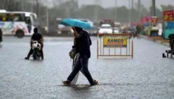 Kerala Rain Alert:  ഇന്ന് മുതൽ കാലവർഷം ശക്തമായേക്കും,  മൂന്ന് ജില്ലകളിൽ യെല്ലോ അലർട്ട്